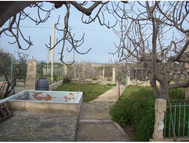 Anteprima foto 5 - Villa in Vendita a Bisceglie (Barletta-Andria-Trani)