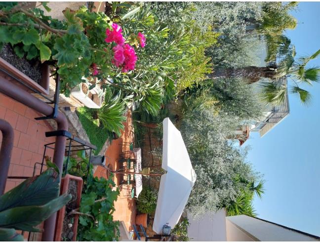Anteprima foto 6 - Villa in Vendita a Bisceglie (Barletta-Andria-Trani)