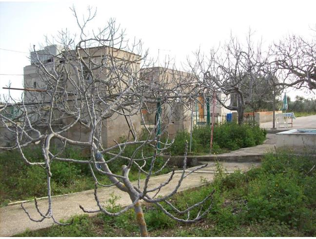 Anteprima foto 6 - Villa in Vendita a Bisceglie (Barletta-Andria-Trani)