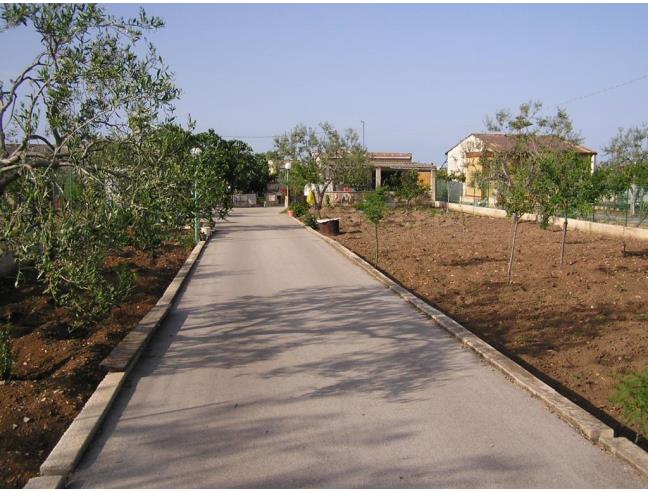 Anteprima foto 7 - Villa in Vendita a Bisceglie (Barletta-Andria-Trani)