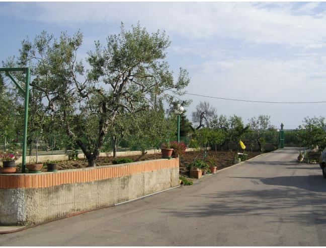 Anteprima foto 8 - Villa in Vendita a Bisceglie (Barletta-Andria-Trani)