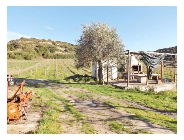 Anteprima foto 1 - Villa in Vendita a Bosa (Oristano)