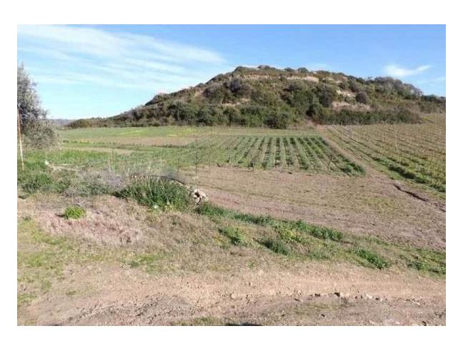 Anteprima foto 2 - Villa in Vendita a Bosa (Oristano)