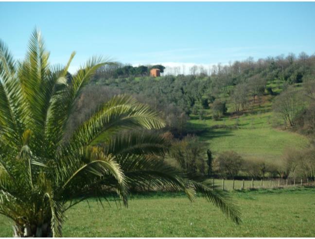 Anteprima foto 5 - Villa in Vendita a Bracciano - Pisciarelli