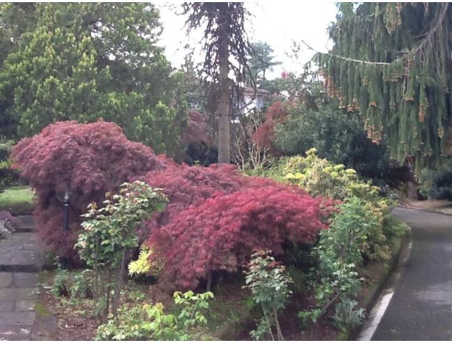 Anteprima foto 2 - Villa in Vendita a Cadegliano-Viconago (Varese)