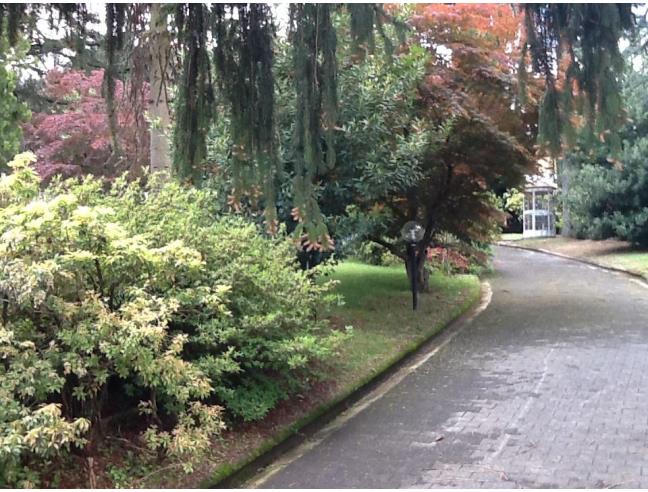 Anteprima foto 3 - Villa in Vendita a Cadegliano-Viconago (Varese)