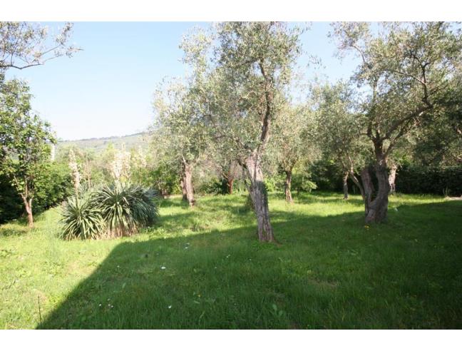 Anteprima foto 7 - Villa in Vendita a Calci - La Corte