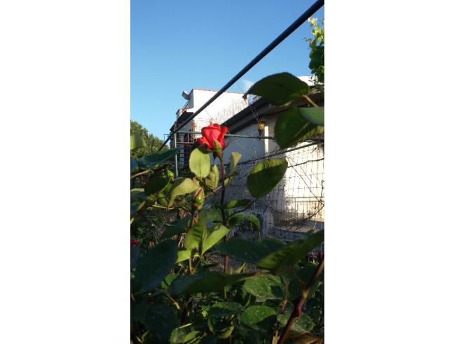 Anteprima foto 2 - Villa in Vendita a Caltanissetta - Centro città