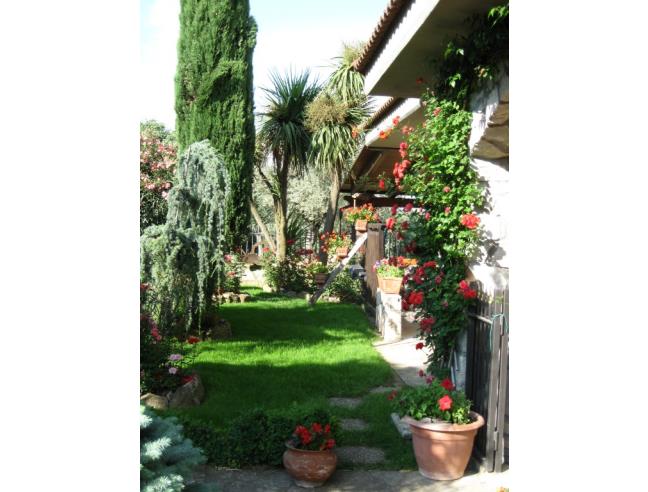 Anteprima foto 5 - Villa in Vendita a Calvi (Benevento)