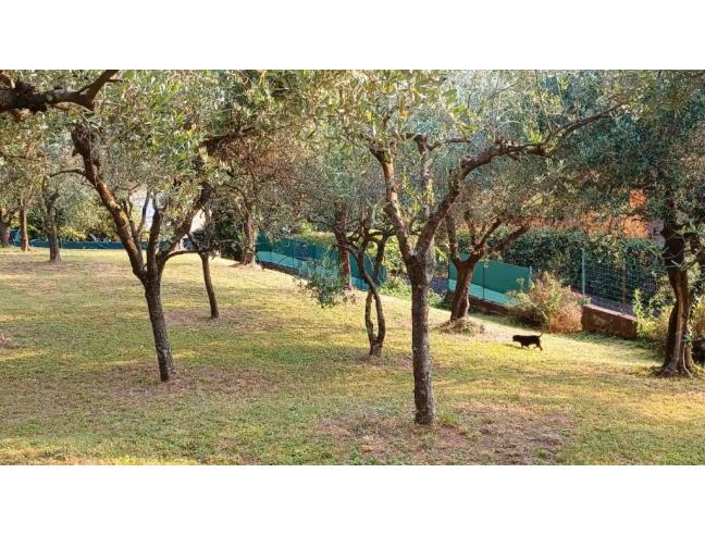 Anteprima foto 3 - Villa in Vendita a Camaiore - Pedona