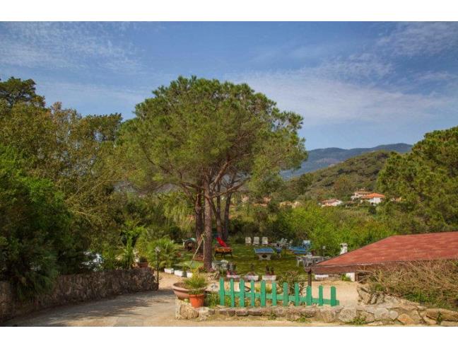 Anteprima foto 1 - Villa in Vendita a Campo nell'Elba (Livorno)