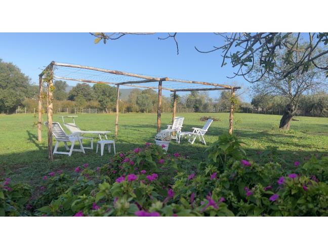 Anteprima foto 4 - Villa in Vendita a Canale Monterano (Roma)