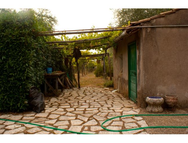 Anteprima foto 8 - Villa in Vendita a Canale Monterano (Roma)