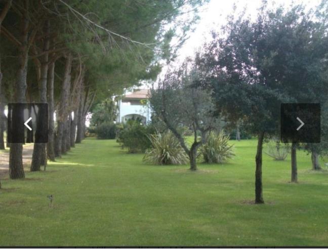 Anteprima foto 1 - Villa in Vendita a Capalbio (Grosseto)