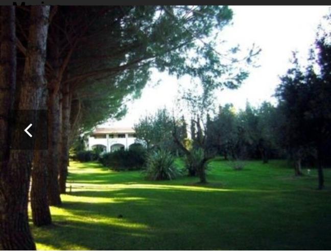 Anteprima foto 4 - Villa in Vendita a Capalbio (Grosseto)