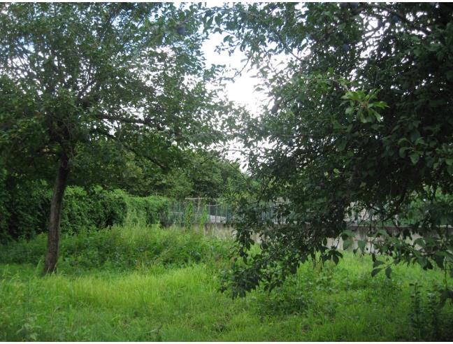 Anteprima foto 8 - Villa in Vendita a Cardinale (Catanzaro)