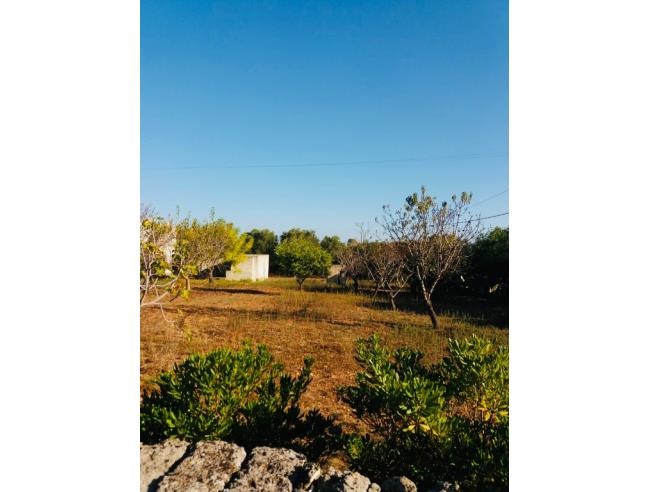 Anteprima foto 5 - Villa in Vendita a Carovigno - Specchiolla