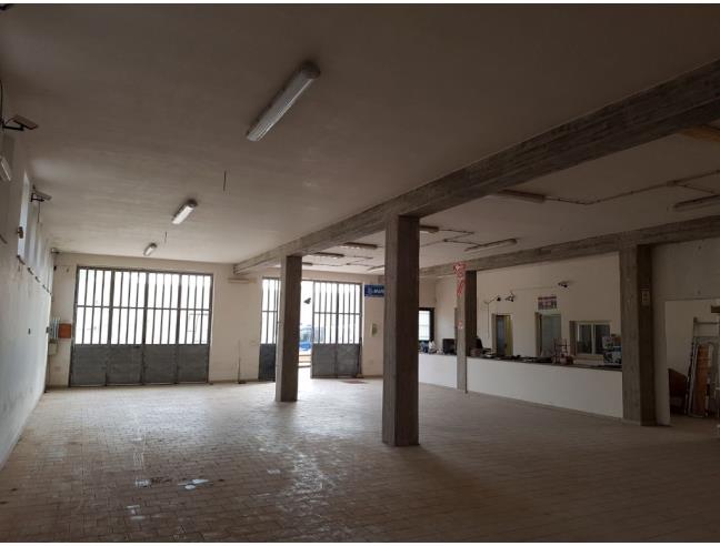 Anteprima foto 2 - Villa in Vendita a Carpignano Salentino - Serrano