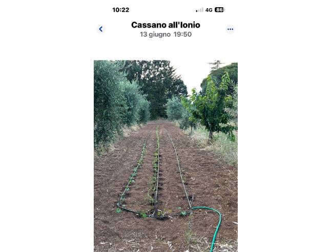 Anteprima foto 1 - Villa in Vendita a Cassano all'Ionio (Cosenza)