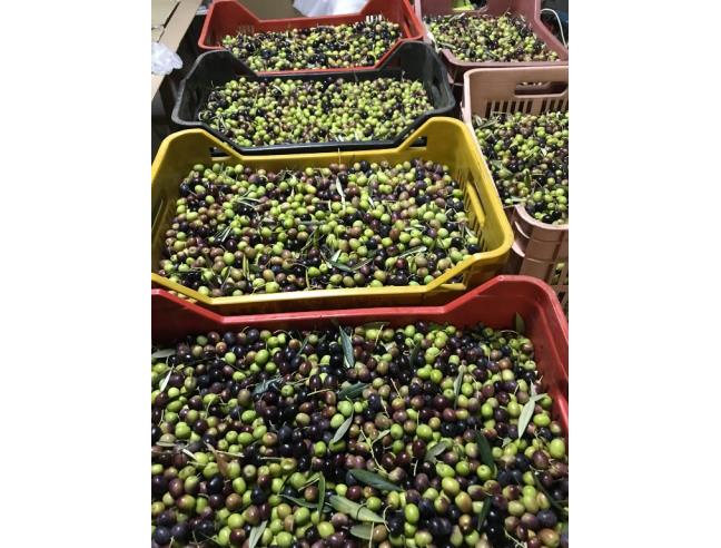 Anteprima foto 4 - Villa in Vendita a Cassano all'Ionio (Cosenza)