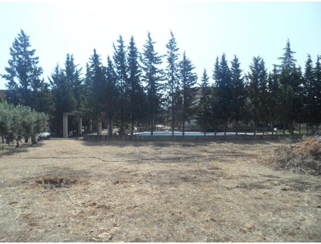 Anteprima foto 6 - Villa in Vendita a Cassano all'Ionio - Sibari