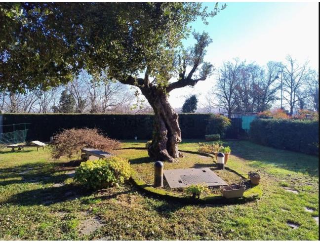 Anteprima foto 4 - Villa in Vendita a Cassano d'Adda (Milano)