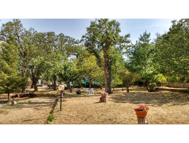 Anteprima foto 5 - Villa in Vendita a Castel del Piano (Grosseto)