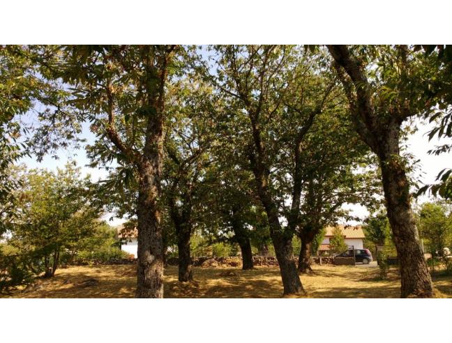 Anteprima foto 6 - Villa in Vendita a Castel del Piano (Grosseto)