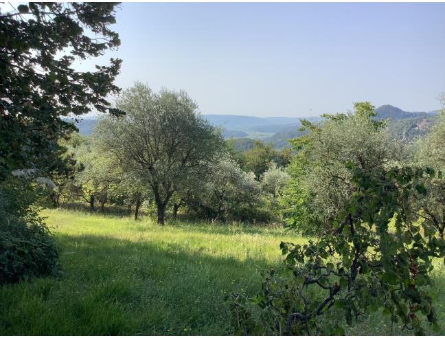 Anteprima foto 3 - Villa in Vendita a Castelgomberto (Vicenza)