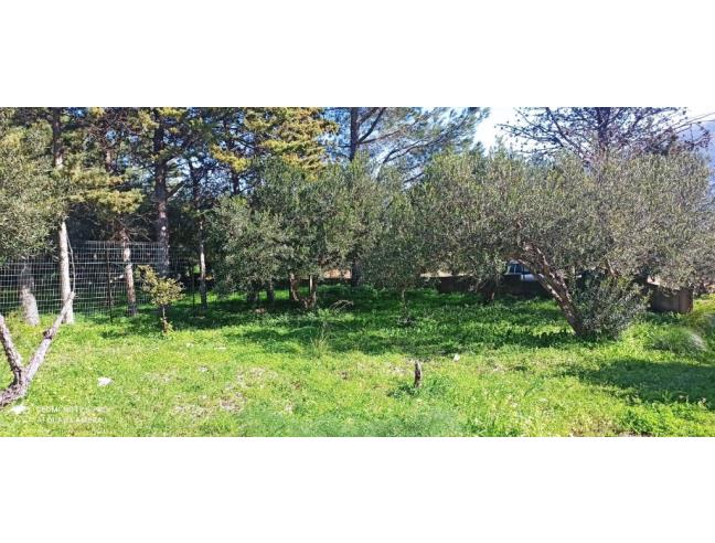 Anteprima foto 3 - Villa in Vendita a Castellammare del Golfo - Scopello