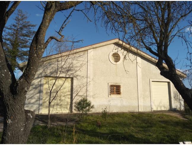 Anteprima foto 5 - Villa in Vendita a Castrovillari (Cosenza)