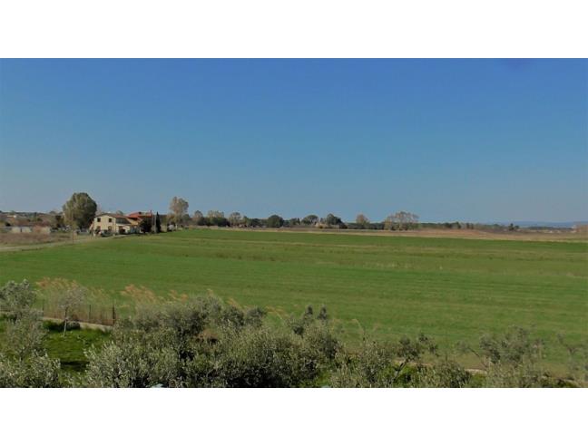 Anteprima foto 4 - Villa in Vendita a Cecina (Livorno)