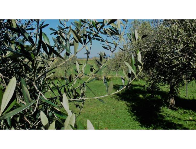 Anteprima foto 5 - Villa in Vendita a Cecina (Livorno)