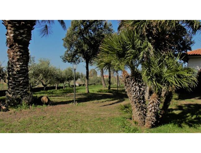 Anteprima foto 6 - Villa in Vendita a Cecina (Livorno)