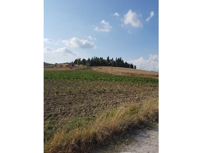 Anteprima foto 5 - Villa in Vendita a Cerreto Guidi - Poggio Tempesti