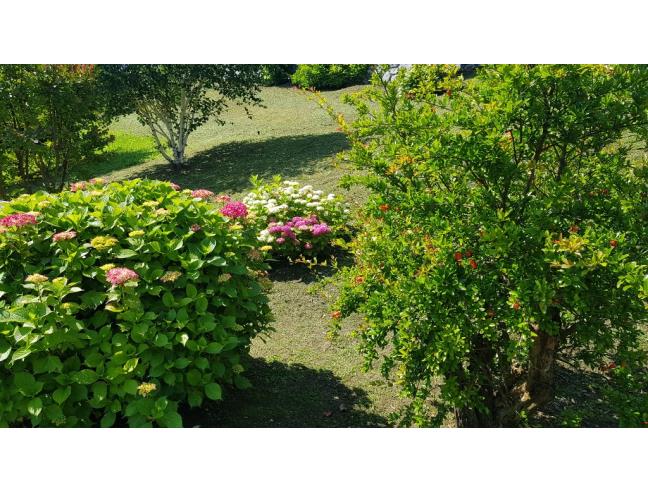 Anteprima foto 3 - Villa in Vendita a Cerveno (Brescia)