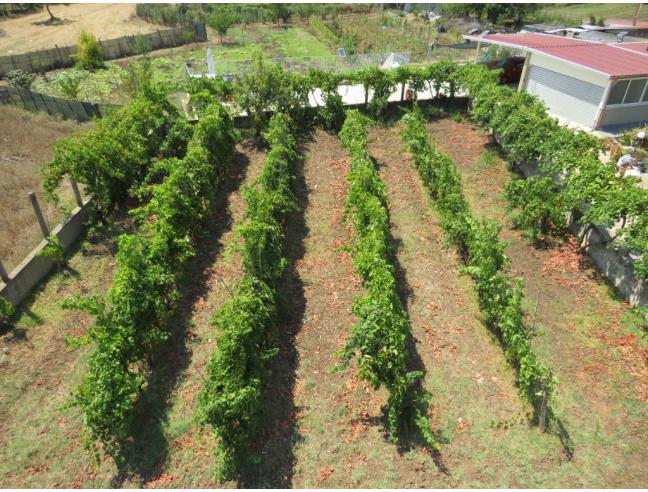 Anteprima foto 7 - Villa in Vendita a Cessaniti - San Marco