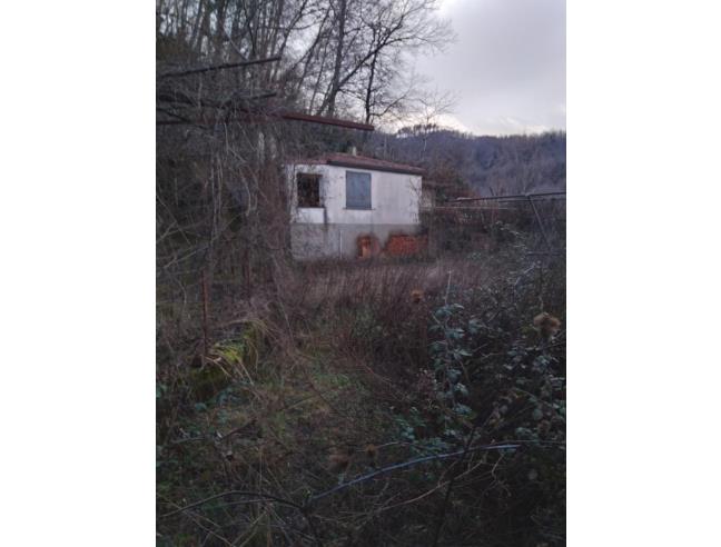 Anteprima foto 4 - Villa in Vendita a Cetraro (Cosenza)