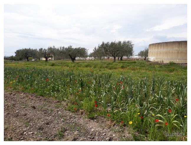 Anteprima foto 5 - Villa in Vendita a Chiaramonte Gulfi (Ragusa)