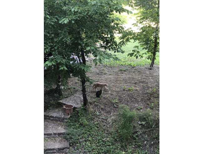 Anteprima foto 7 - Villa in Vendita a Chiusdino - Frosini