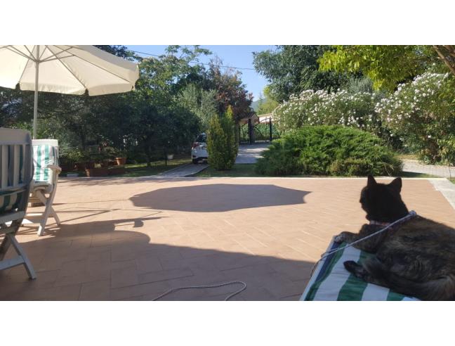 Anteprima foto 6 - Villa in Vendita a Cittaducale (Rieti)