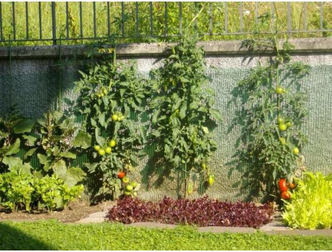 Anteprima foto 3 - Villa in Vendita a Clusone (Bergamo)