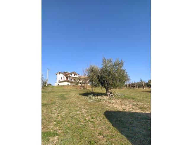 Anteprima foto 4 - Villa in Vendita a Colonnella (Teramo)