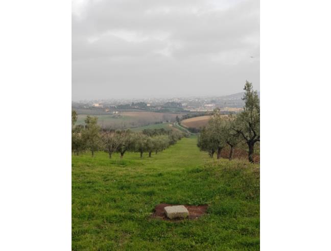 Anteprima foto 5 - Villa in Vendita a Colonnella (Teramo)