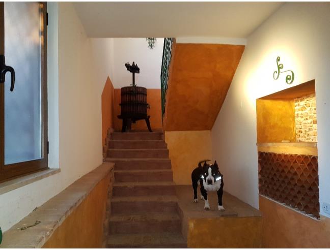 Anteprima foto 6 - Villa in Vendita a Durazzano - Contrada Casanova