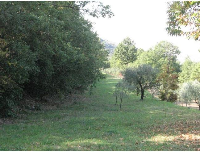 Anteprima foto 4 - Villa in Vendita a Esperia (Frosinone)