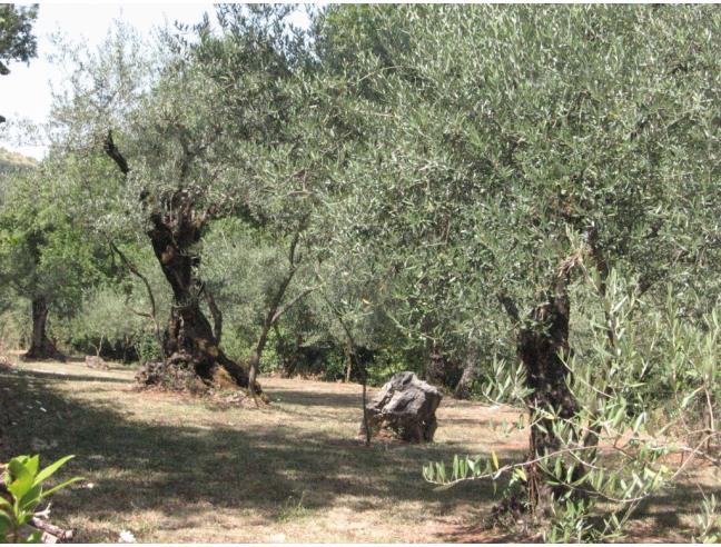 Anteprima foto 6 - Villa in Vendita a Esperia (Frosinone)