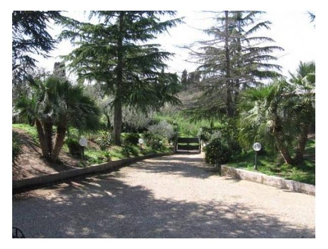 Anteprima foto 3 - Villa in Vendita a Faleria (Viterbo)