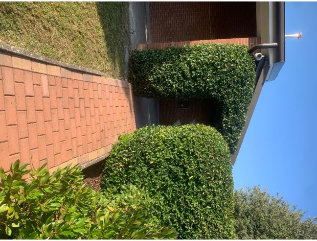 Anteprima foto 2 - Villa in Vendita a Ferrara - Cona