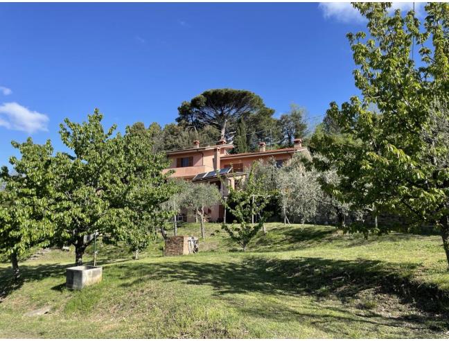 Anteprima foto 5 - Villa in Vendita a Fosdinovo - Giucano